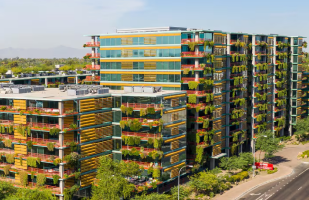 Sonoran-Image